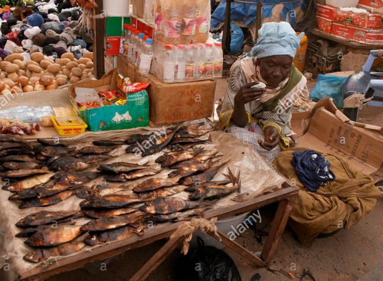 baobab-fruit-serekunda-market-gambia-DTEDNJ