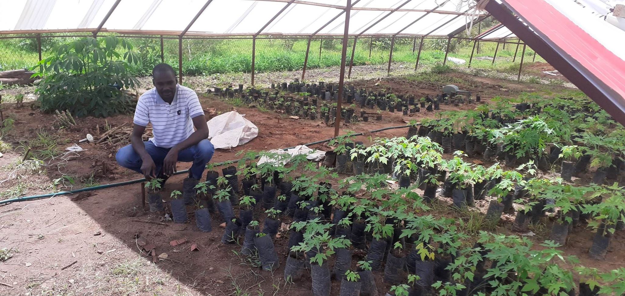 Youth trains on integrated agricultural food processing