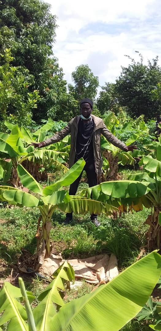 Farmers in rural Gambia lack farming necessities