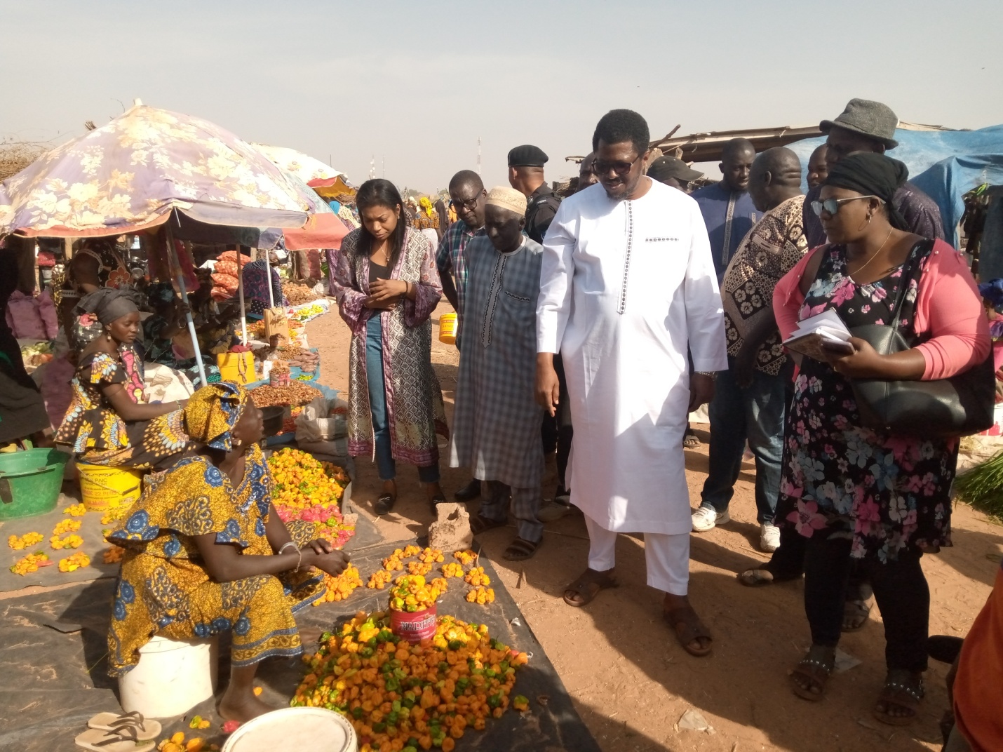 MoTIE Minister tours Farafenni Lumo