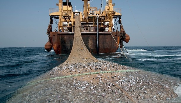 Amnesty International flags devastating impact of overfishing on local communities in Gambia
