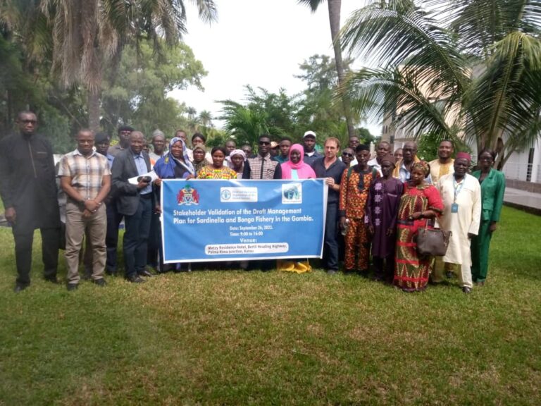IMG_4961