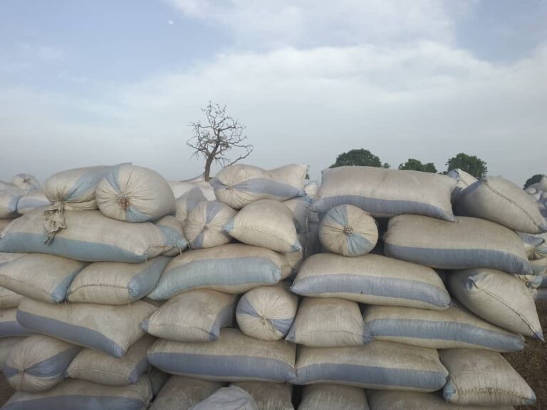 img_9543-1.jpg