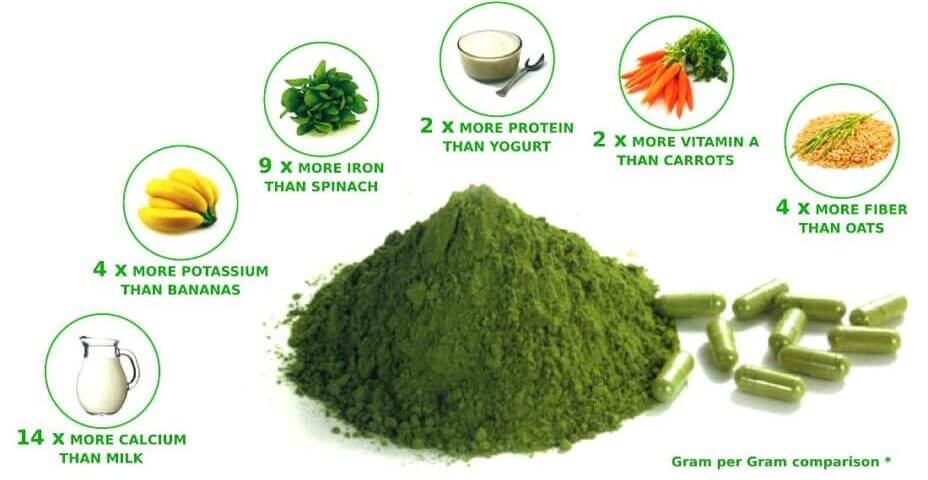 Spirulina:   Popular treatment for Allergic rhinitis, blood pressure, diabetes, cholesterol, and anemia 