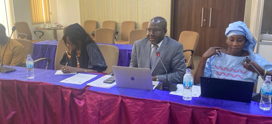MOFA Updates NA Committee on Killing of Gambian Migrants 