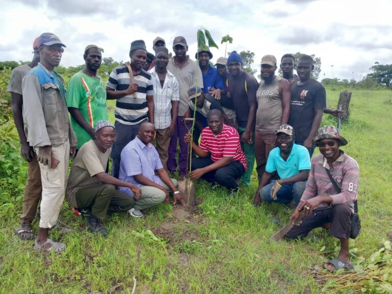 img_6243-1.jpg