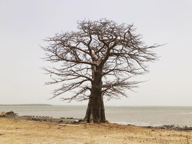 img_9421-1.png