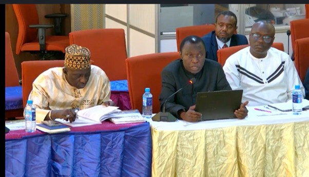 Lawmakers Probe Ombudsman Over D19.9M Idle Cash